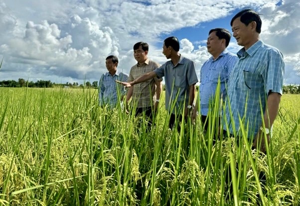 Nhà nông mong muốn chính sách góp phần giúp giá phân bón hạ nhiệt